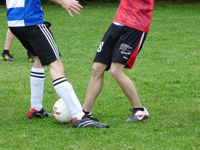 img2.jpg